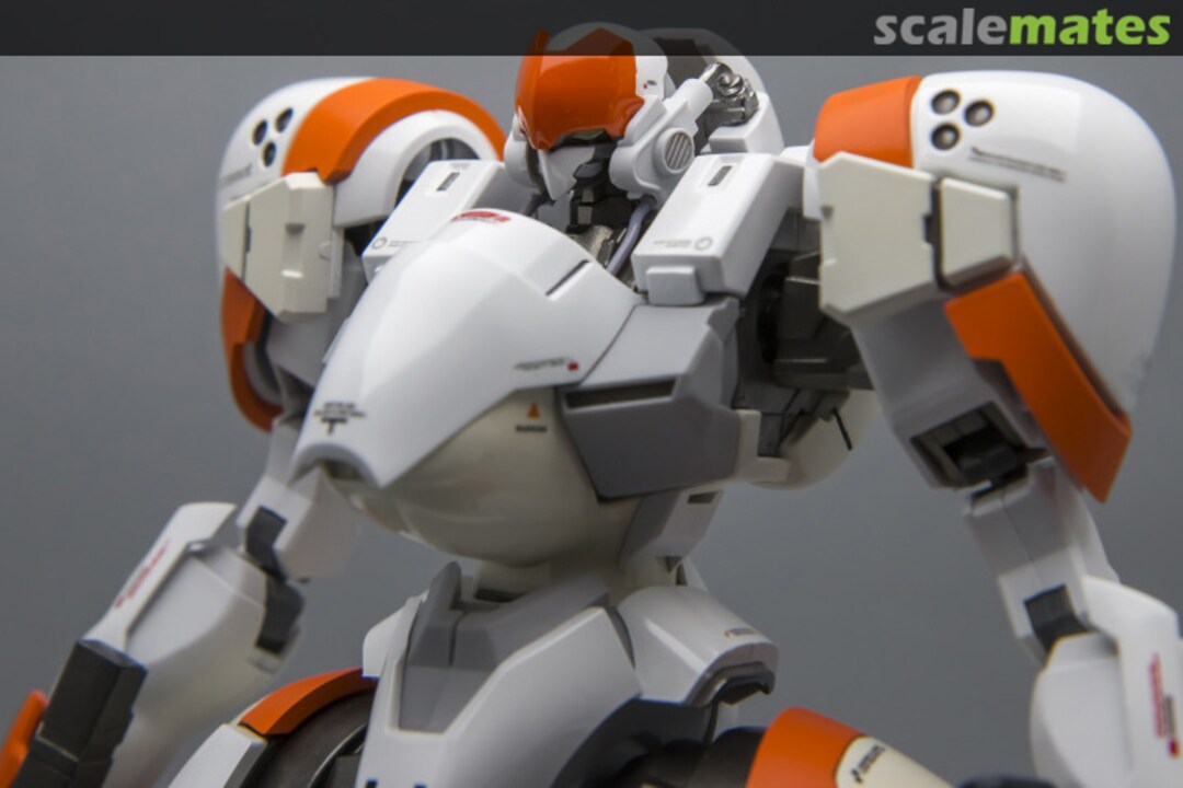 View album, image #10 View album, image #10