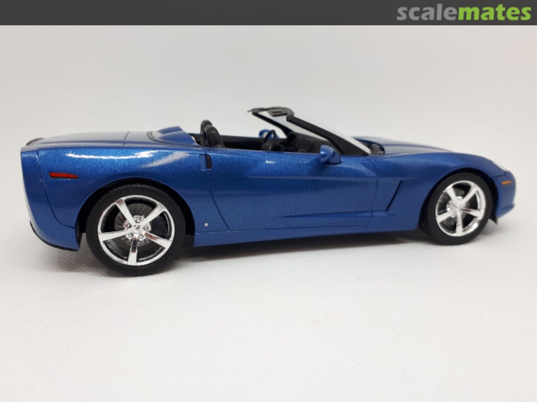 View album, image #1 View album, image #1