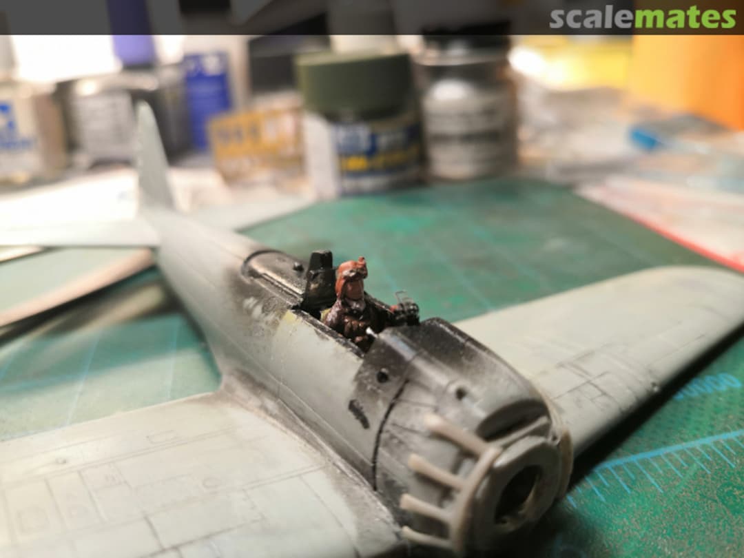 View album, image #1 View album, image #1