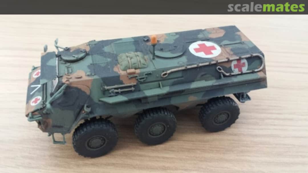 View album, image #7 View album, image #7