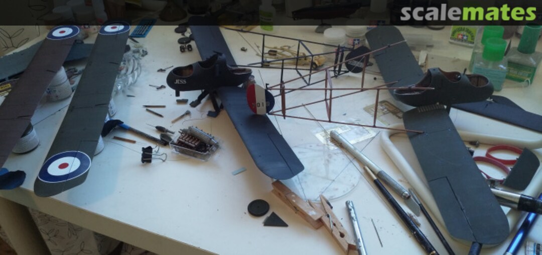 View album, image #9 View album, image #9