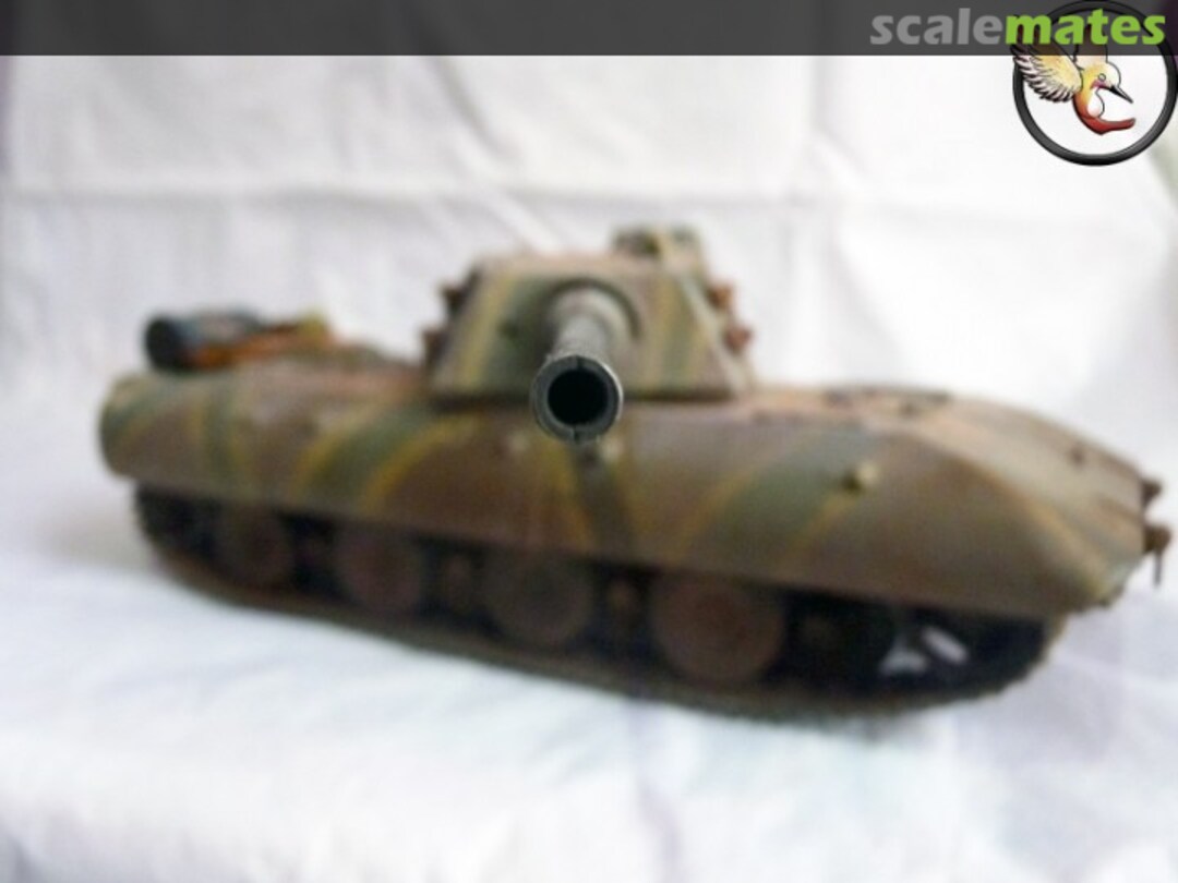 View album, image #1 View album, image #1