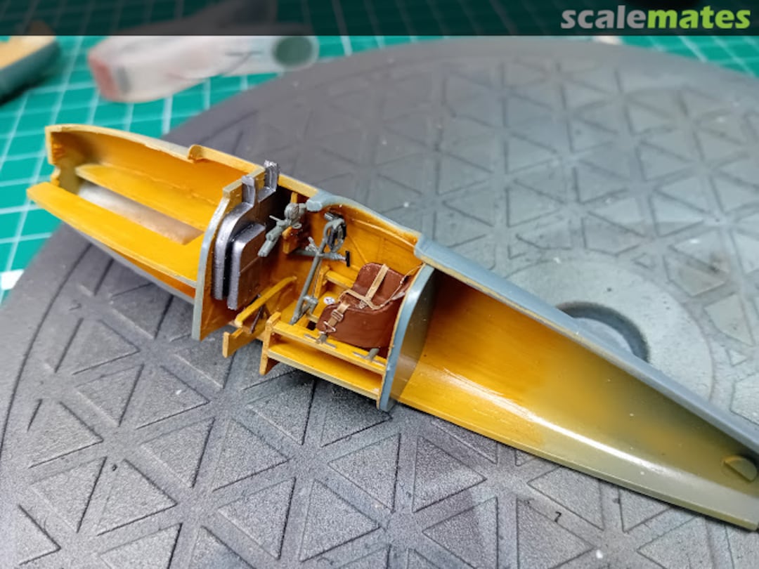 View album, image #6 View album, image #6