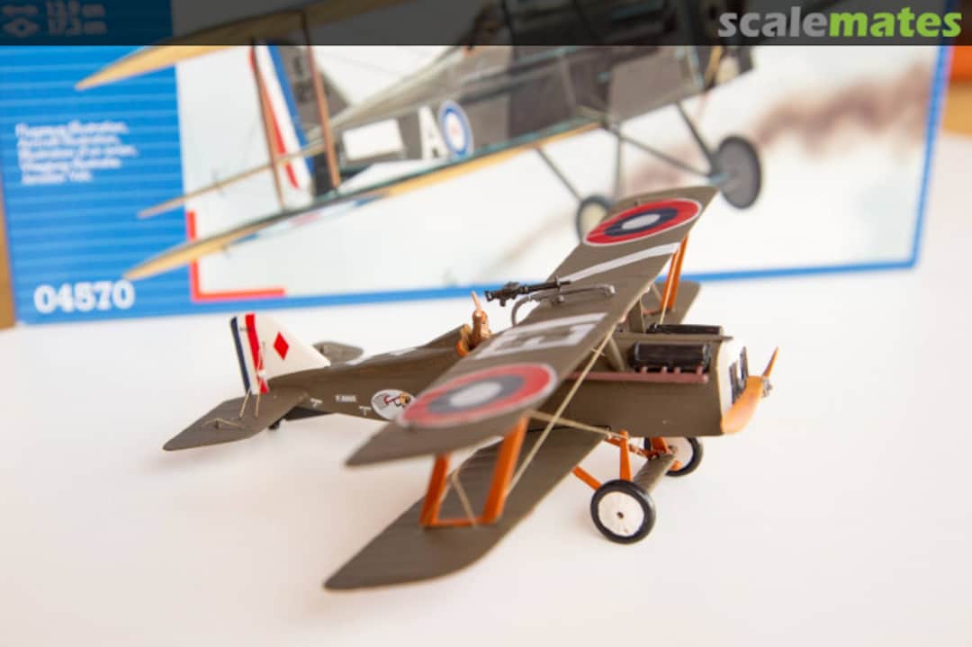 View album, image #1 View album, image #1