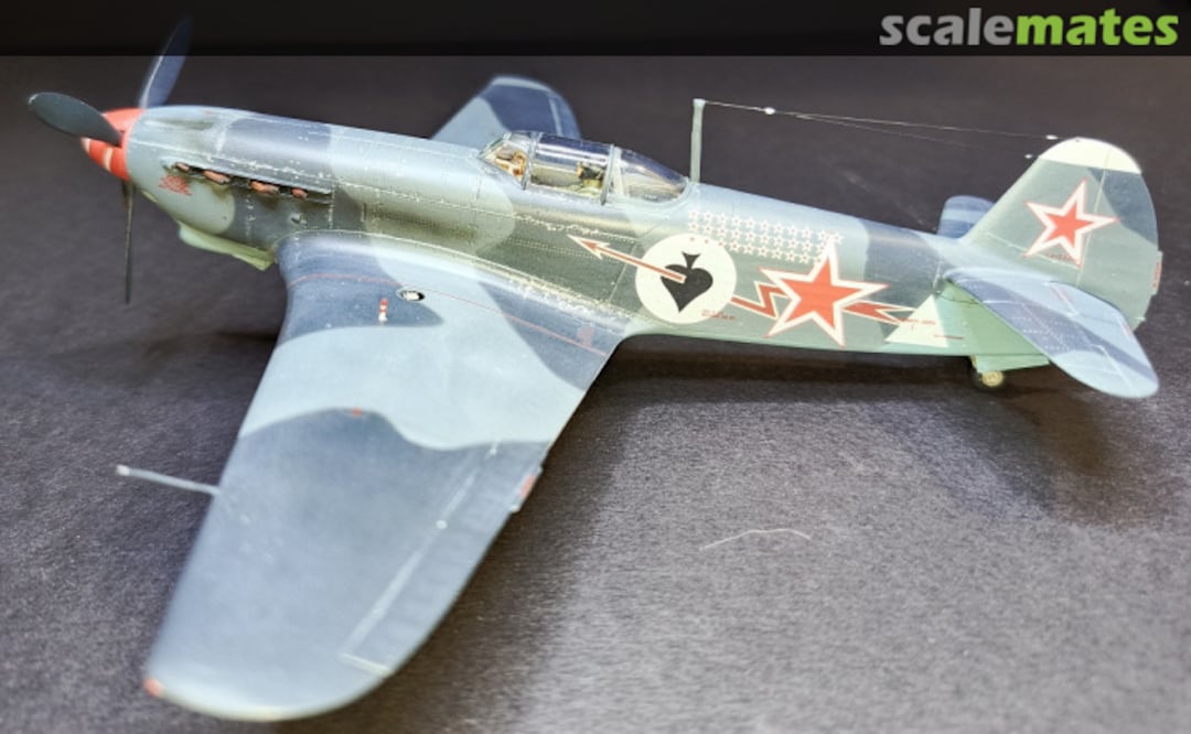 View album, image #8 View album, image #8