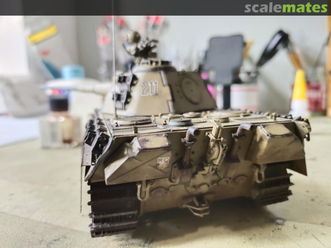 View album, image #1