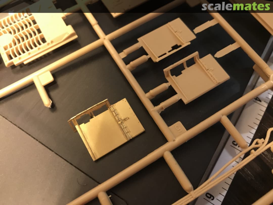 View album, image #1 View album, image #1