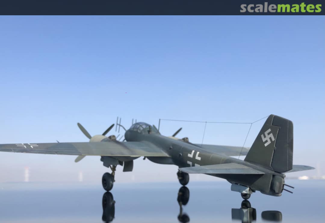 View album, image #1 View album, image #1