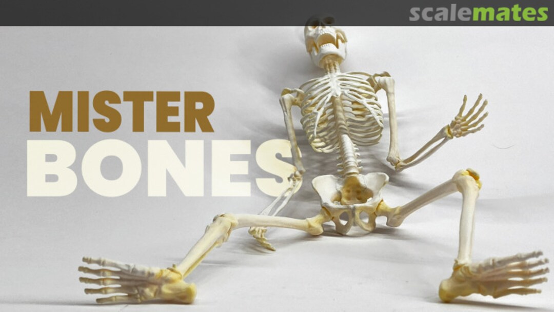 View album, image #9 View album, image #9