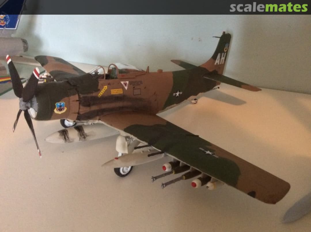 View album, image #11 View album, image #11