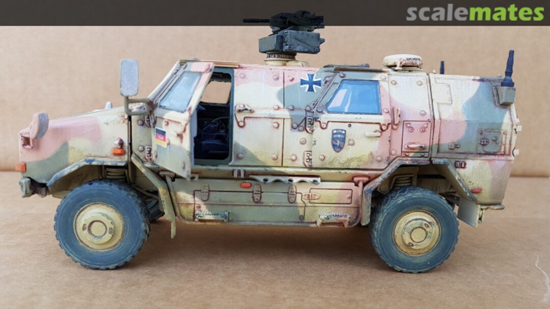 View album, image #1