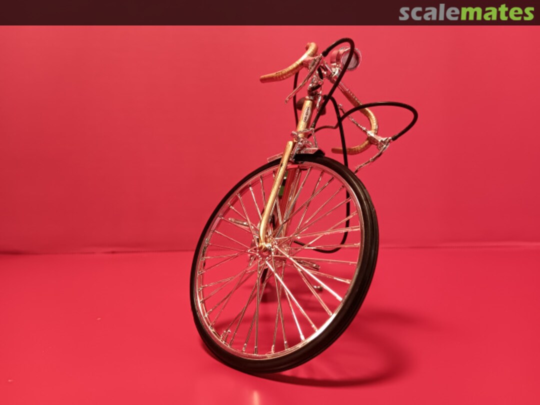 View album, image #1 View album, image #1