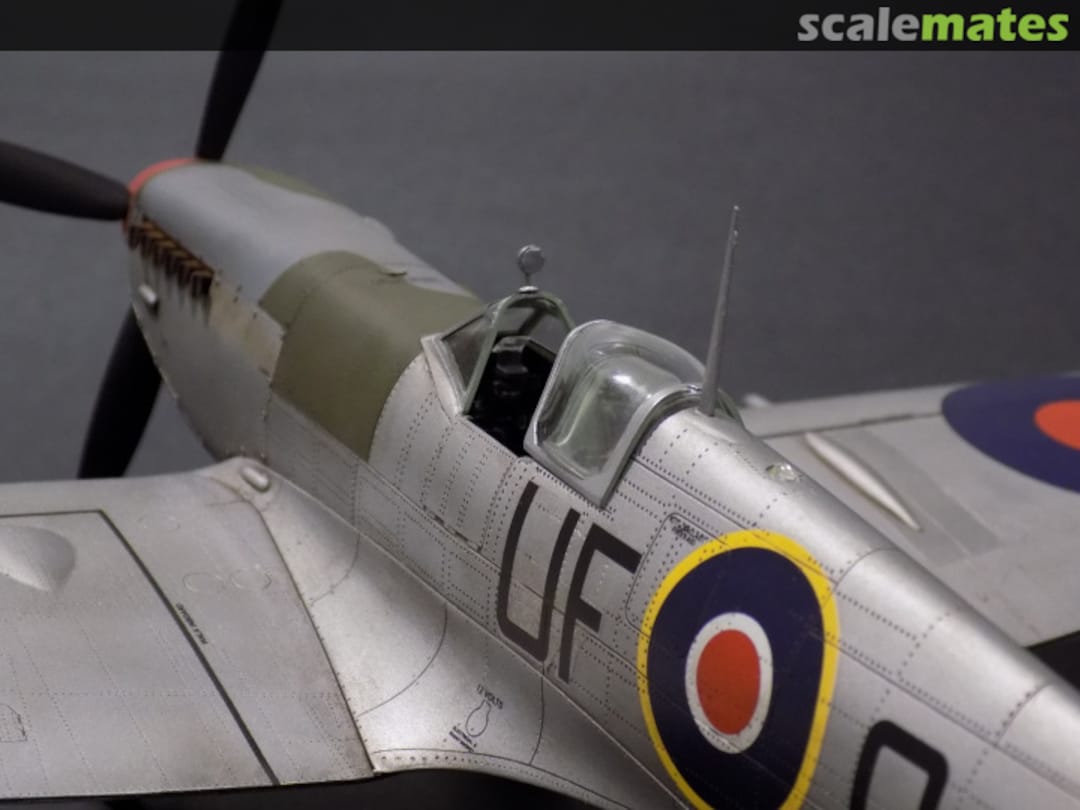 View album, image #12