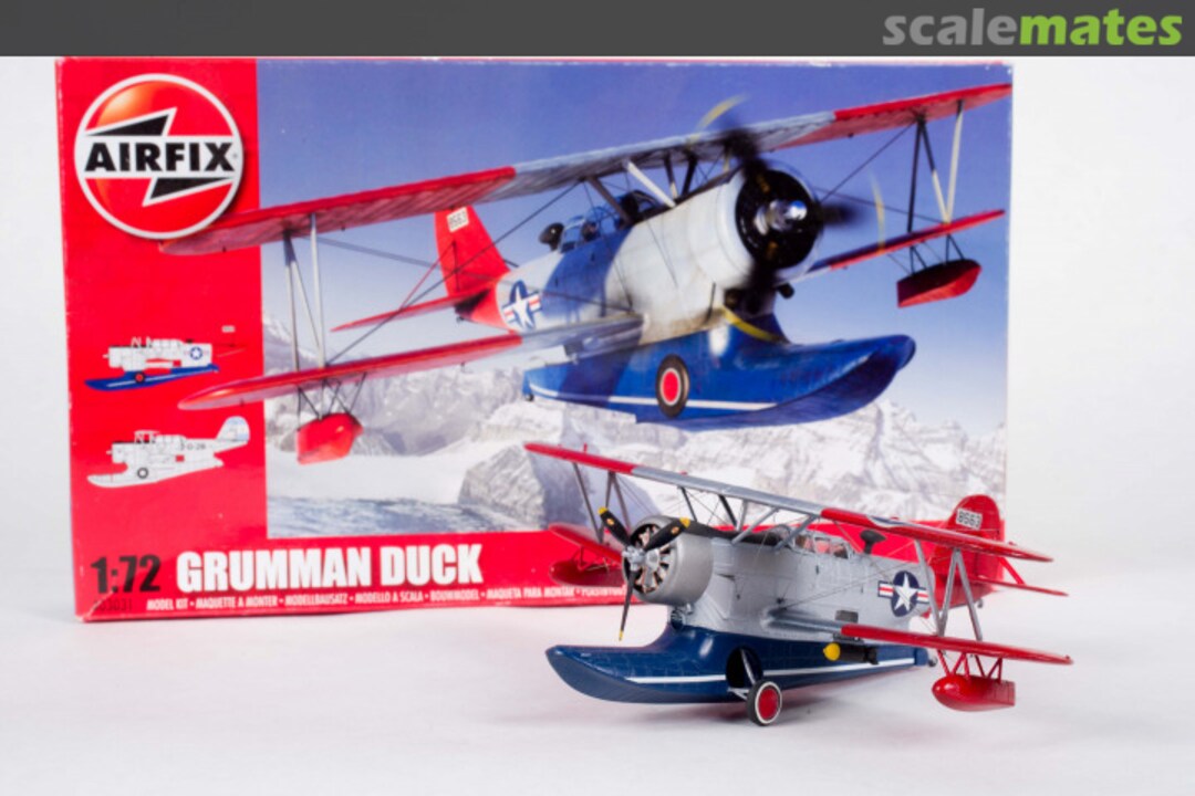 View album, image #1 View album, image #1