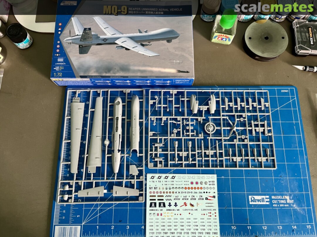 View album, image #1