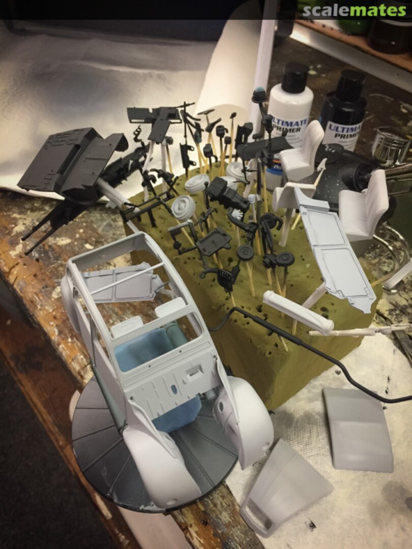 View album, image #1 View album, image #1