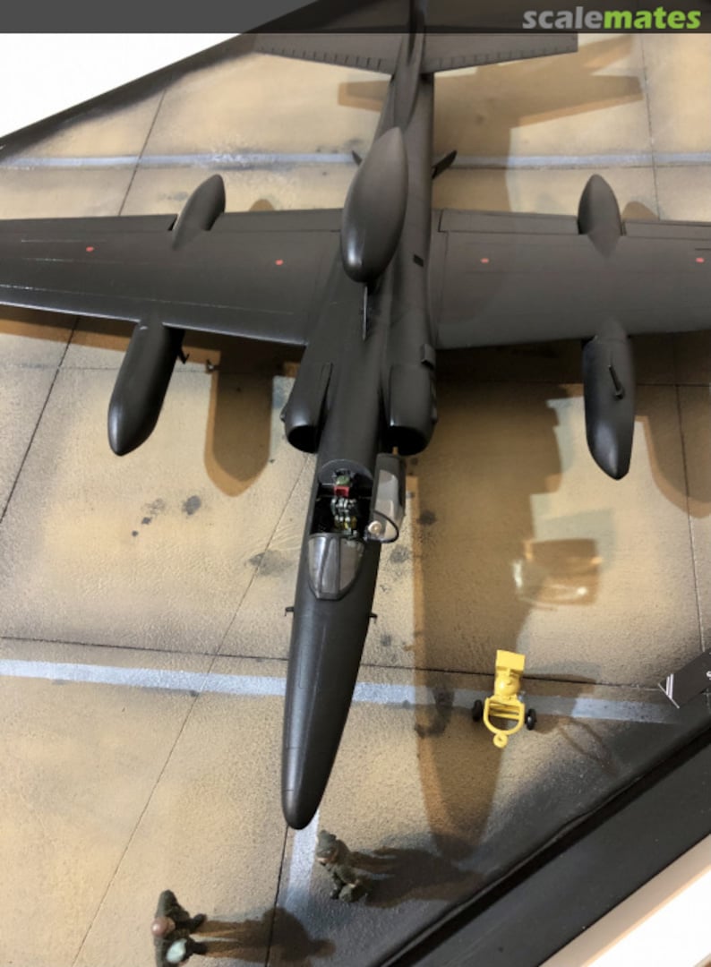 View album, image #1 View album, image #1