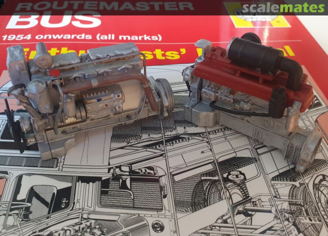 View album, image #1 View album, image #1