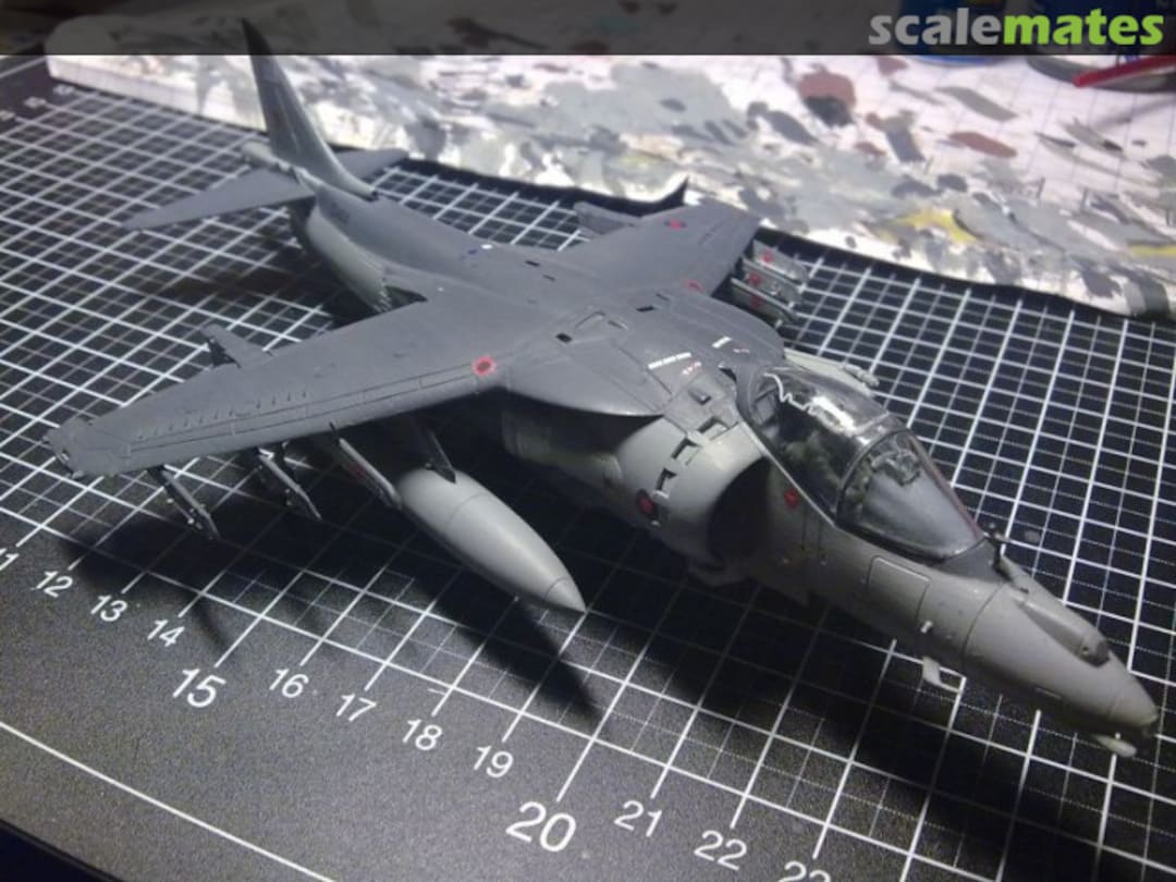 View album, image #1 View album, image #1