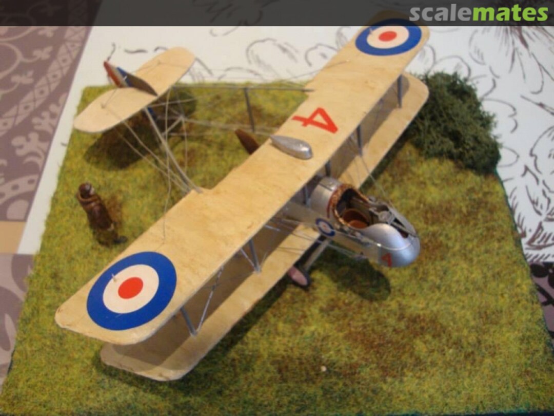 View album, image #1