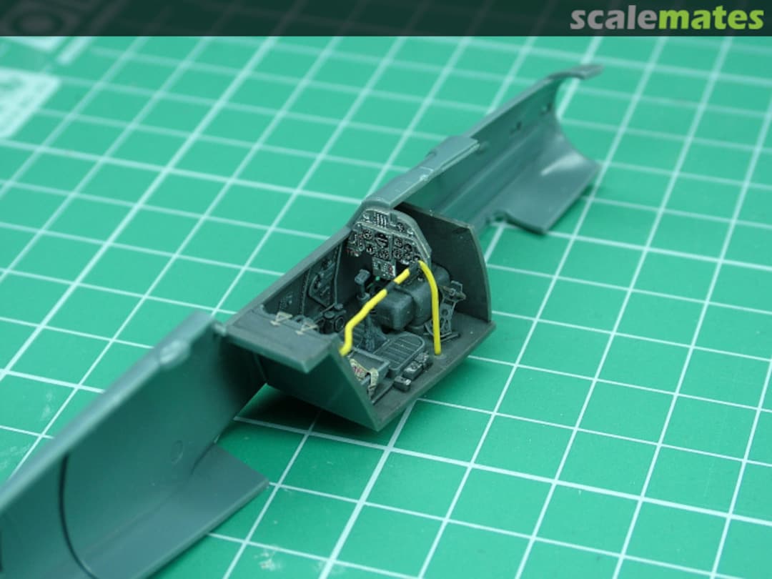 View album, image #1 View album, image #1