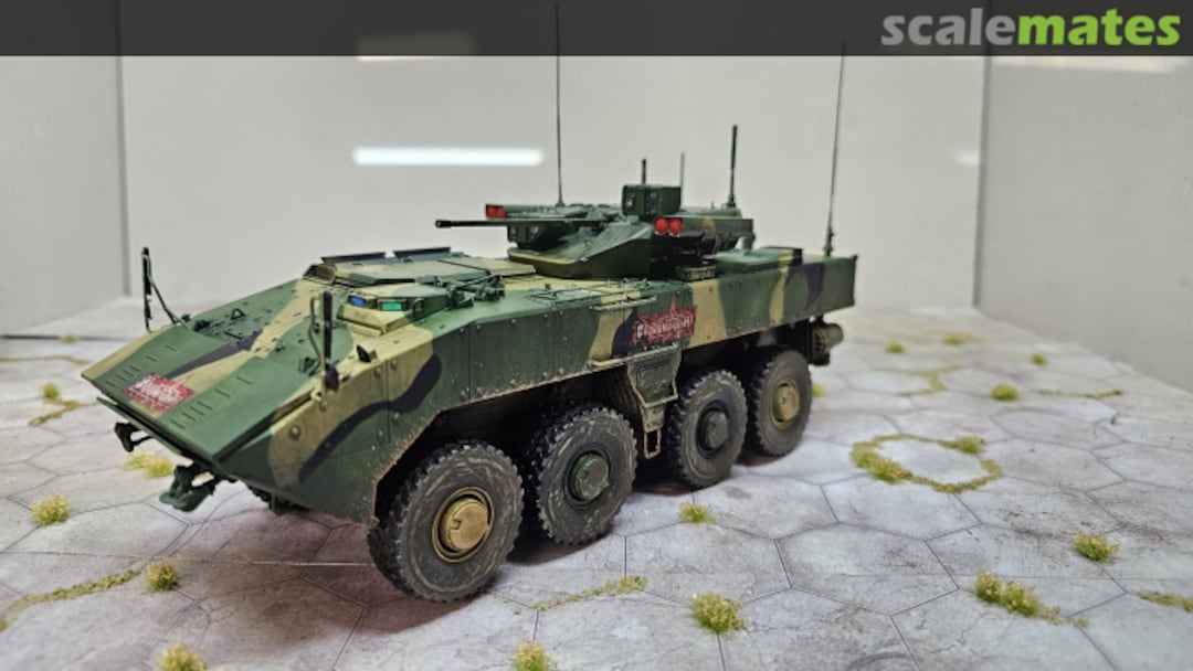 View album, image #1 View album, image #1