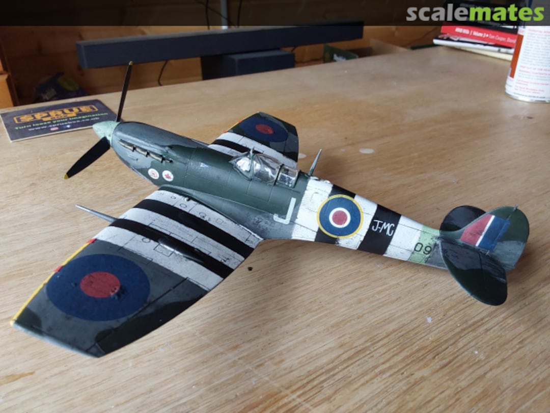 View album, image #1 View album, image #1