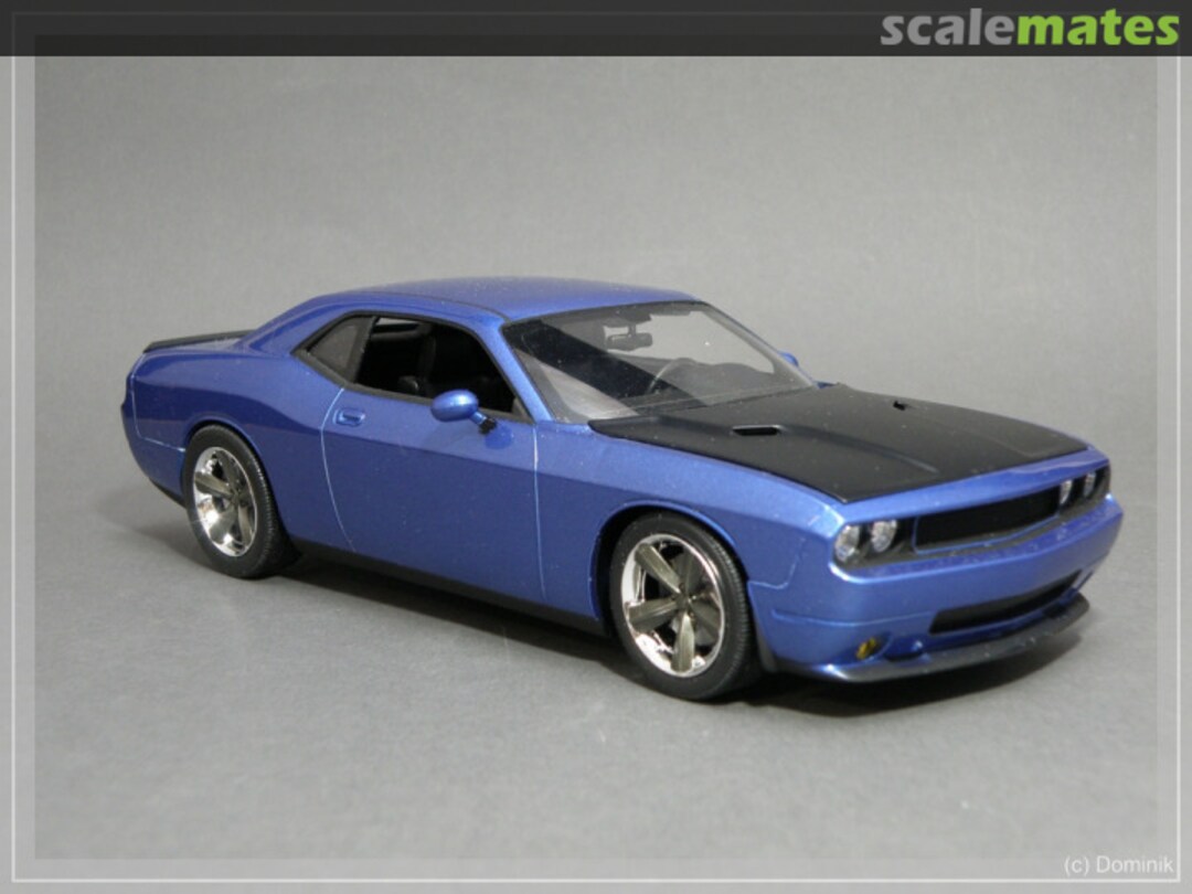 View album, image #1