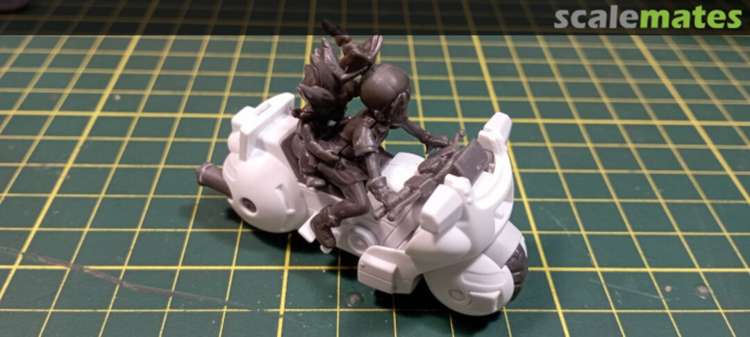 View album, image #1 View album, image #1