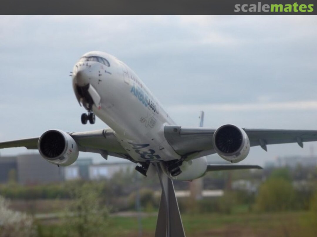 View album, image #1