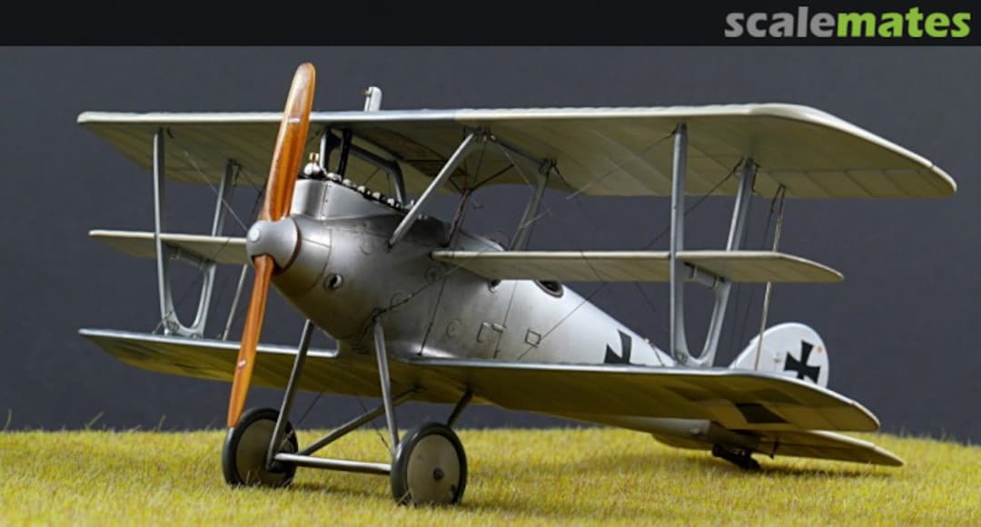 View album, image #1 View album, image #1