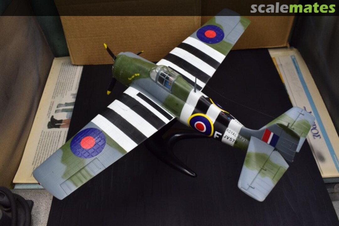 View album, image #1 View album, image #1