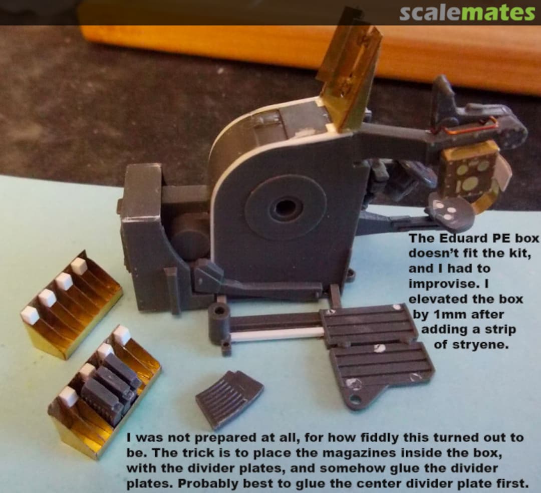 View album, image #16