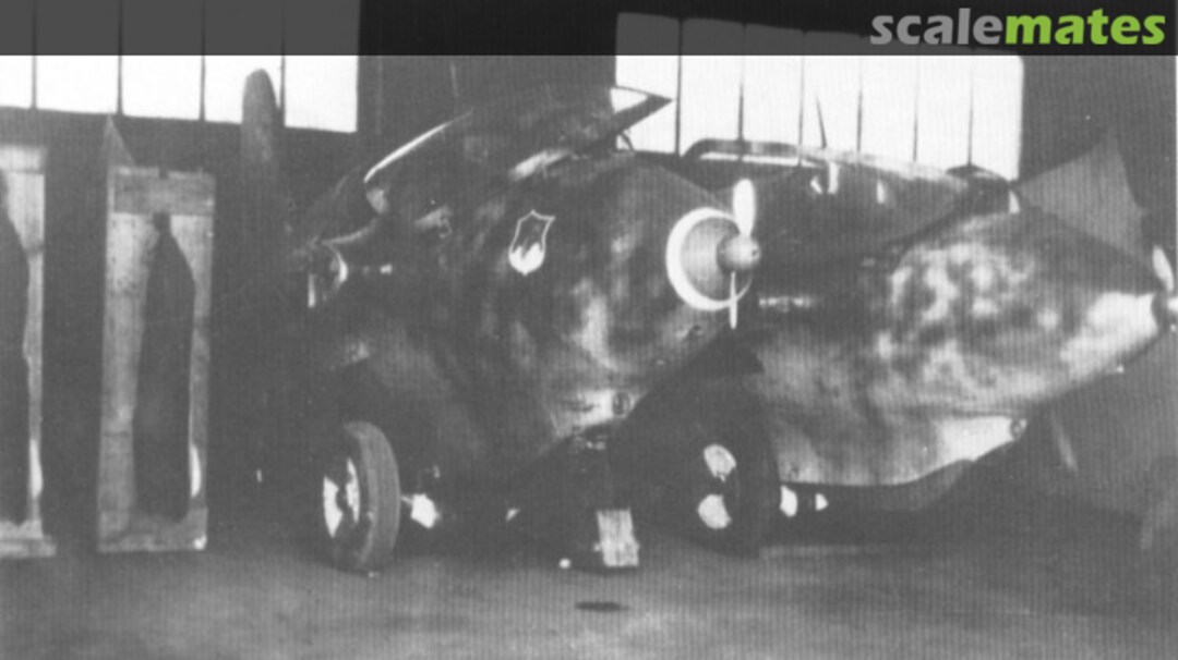 View album, image #1