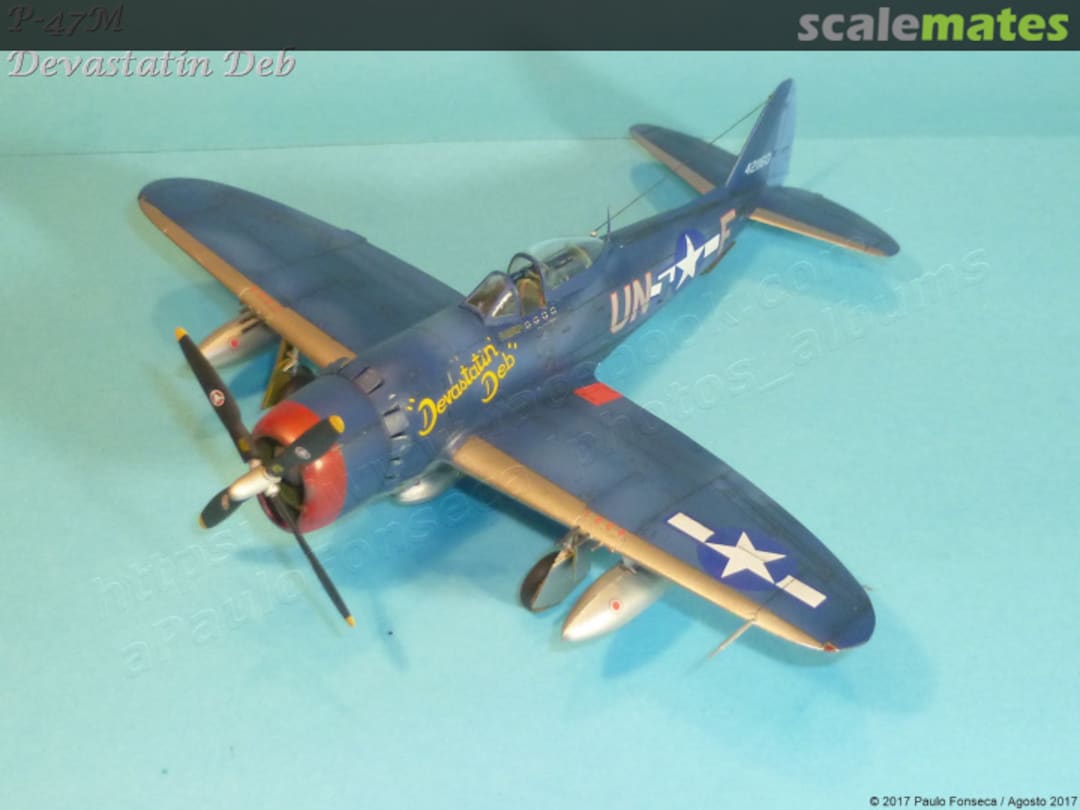 View album, image #41 View album, image #41