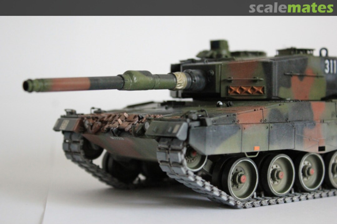 View album, image #38 View album, image #38