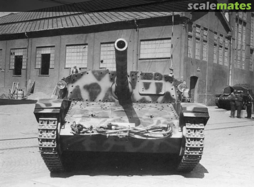 View album, image #1