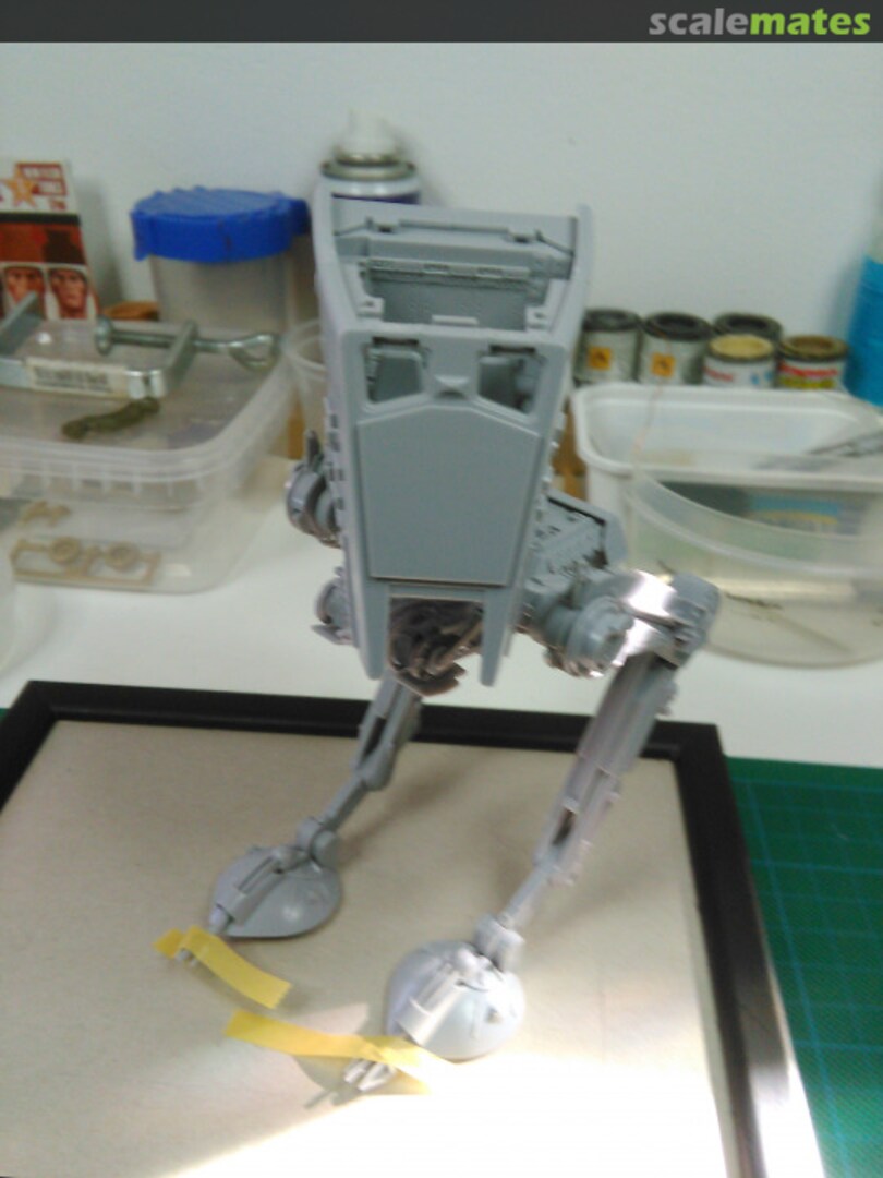 View album, image #1 View album, image #1