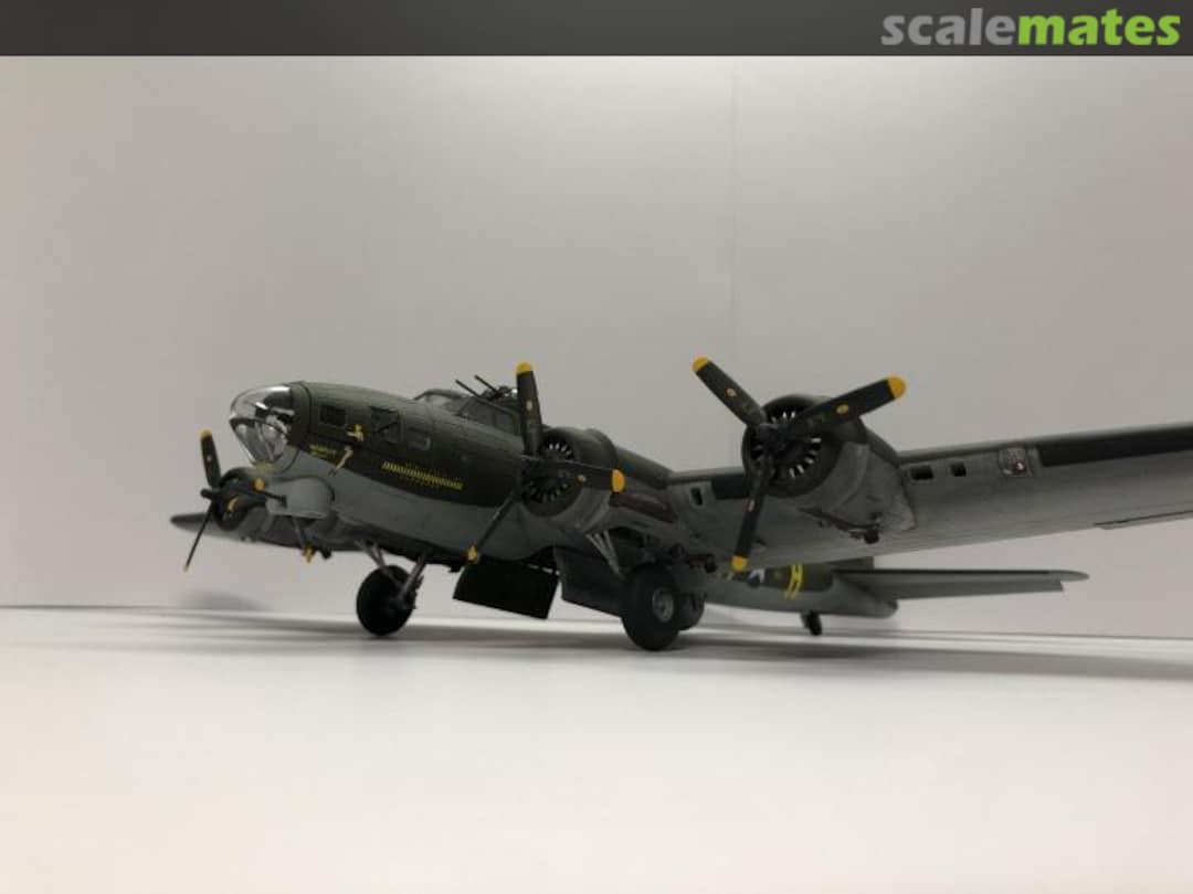 View album, image #1 View album, image #1