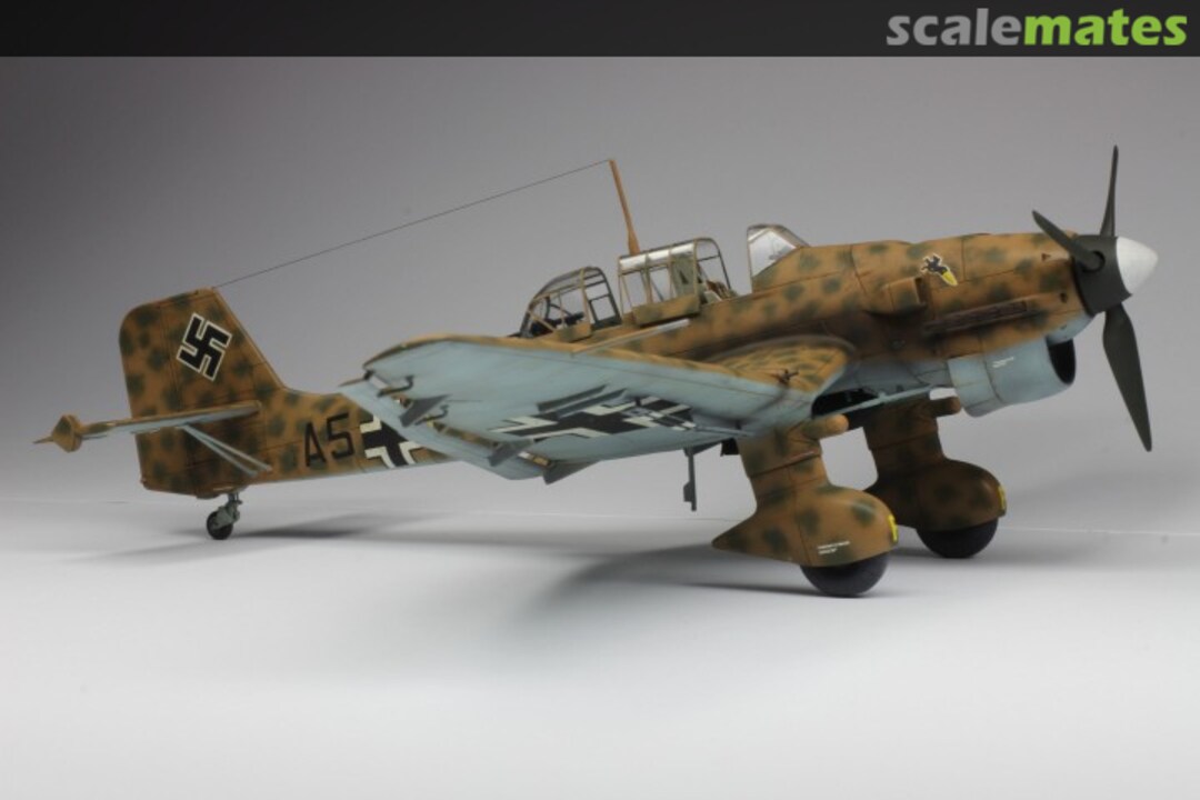 View album, image #15