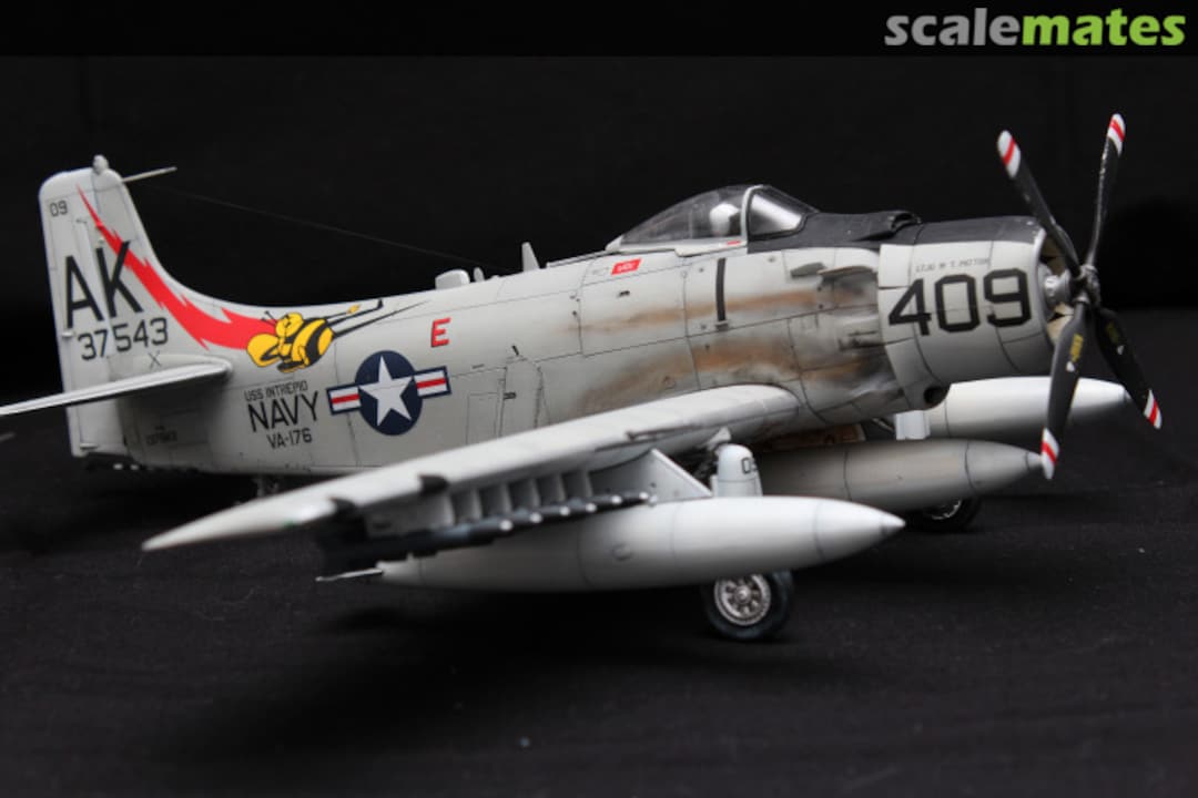 View album, image #1