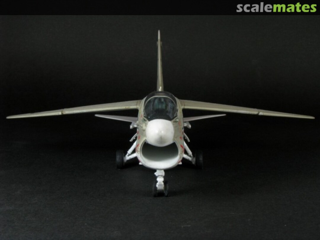 View album, image #16 View album, image #16