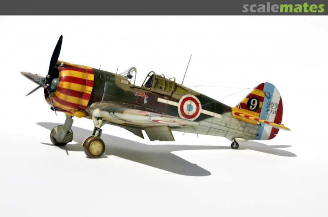 View album, image #7 View album, image #7