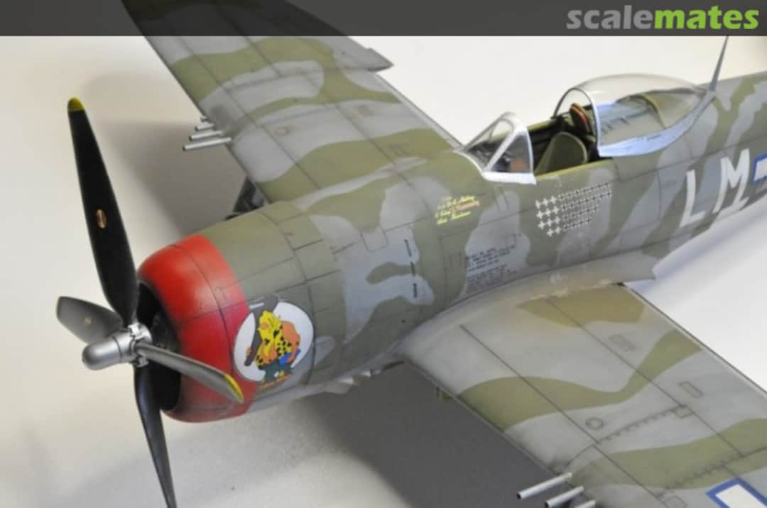 View album, image #1 View album, image #1