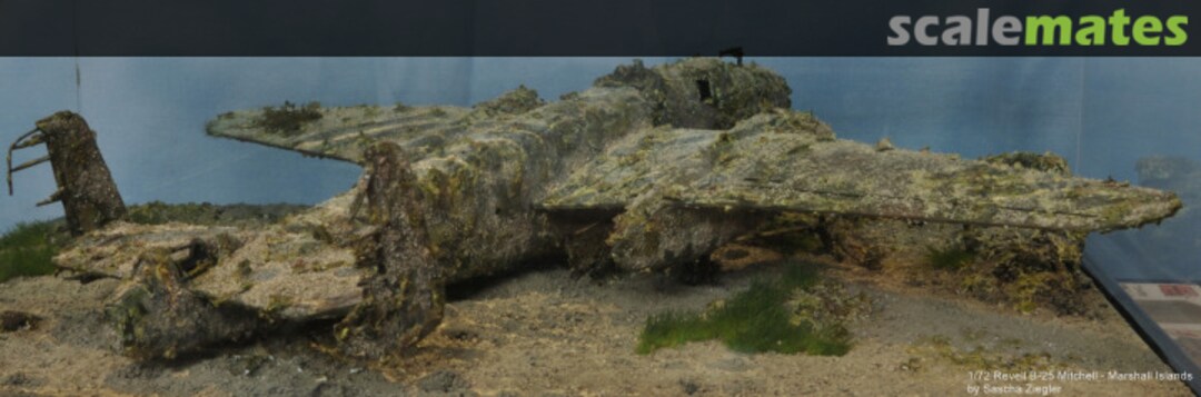 View album, image #84 View album, image #84