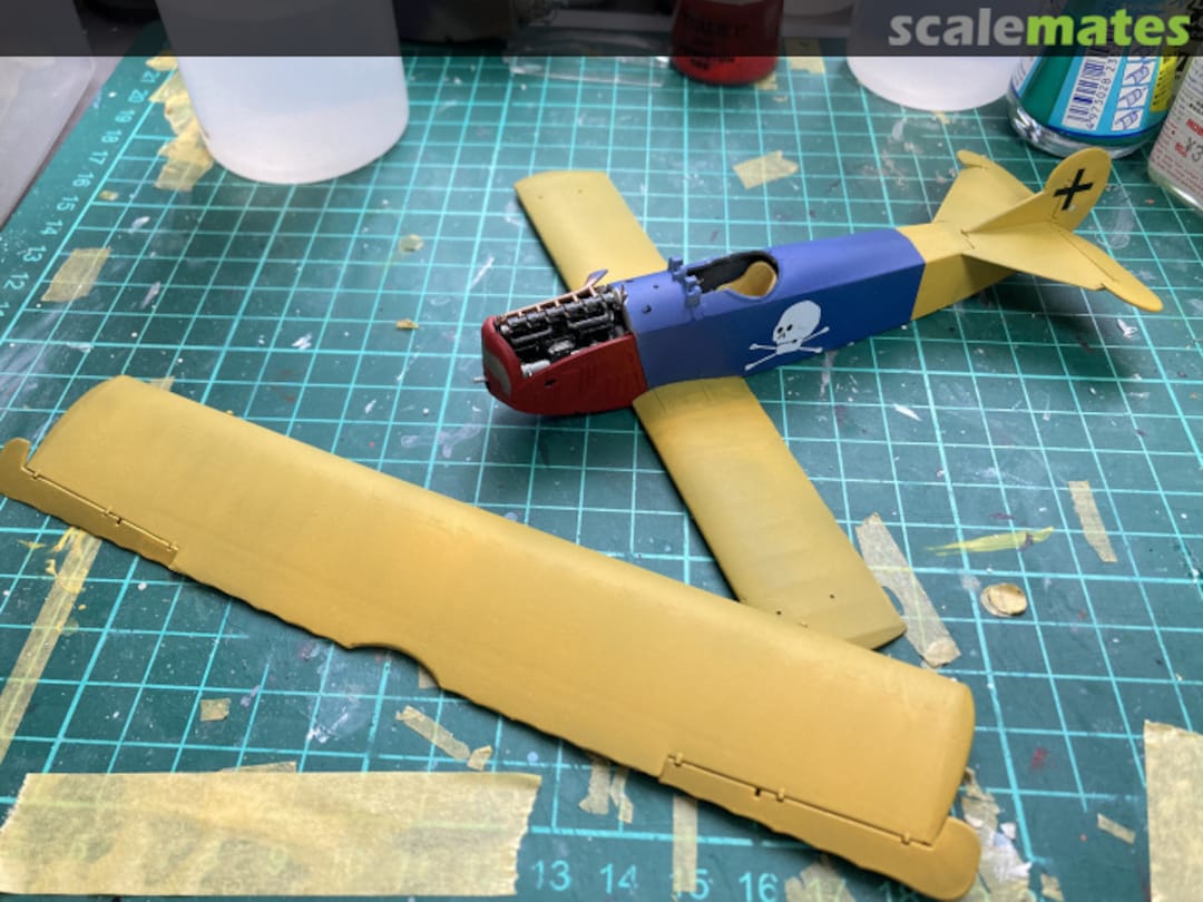 View album, image #12 View album, image #12