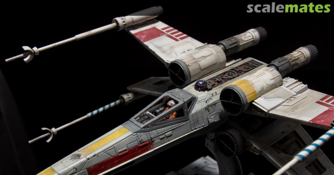 View album, image #1 View album, image #1