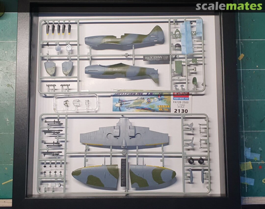 View album, image #1