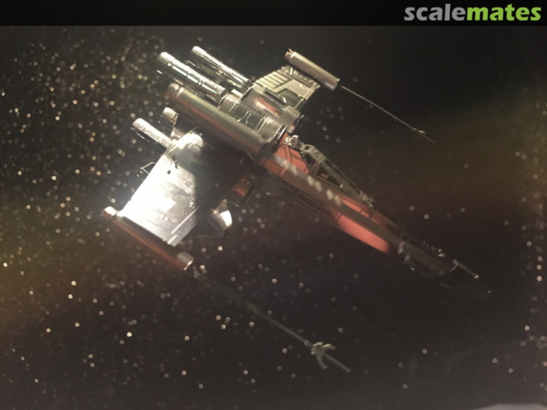 View album, image #7