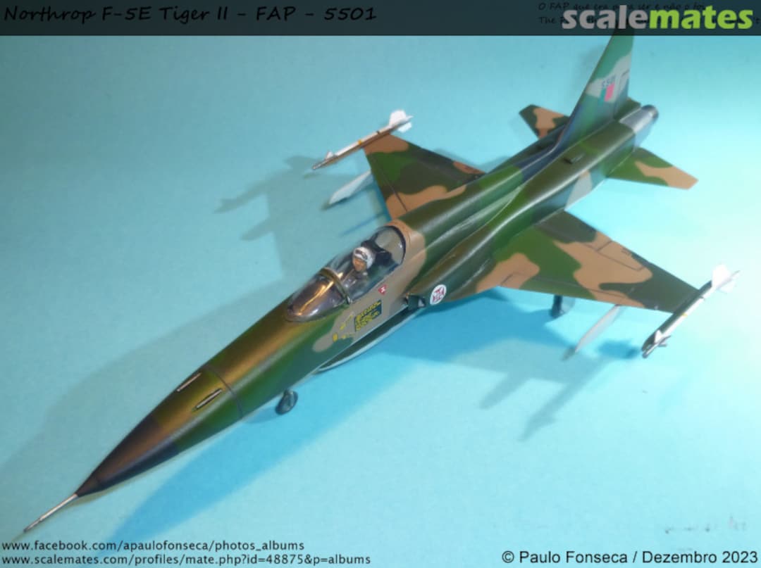 View album, image #75 View album, image #75